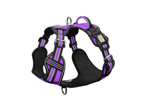 Violet No Pull Dog Harness