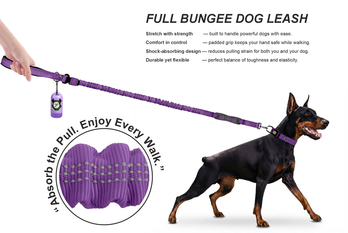 Violet Nylon Full Bungee Dog Leash