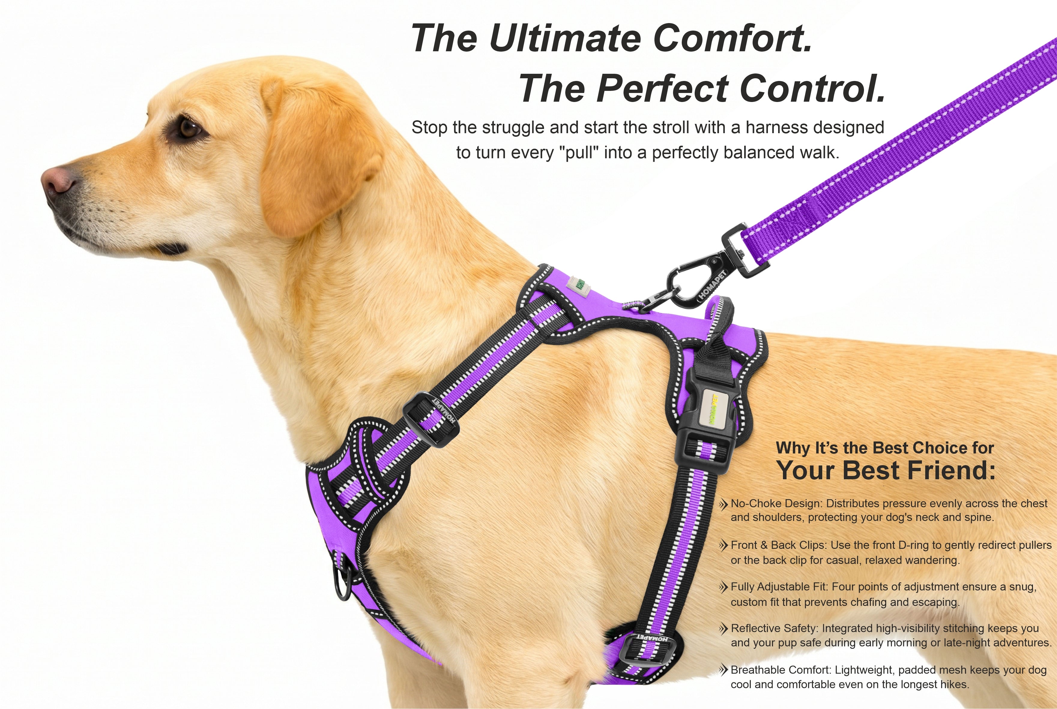Violet No Pull Dog Harness