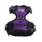 Violet No Pull Dog Harness