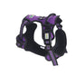 Violet No Pull Dog Harness