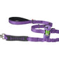 Violet Nylon Adjustable Bungee Dog Leash