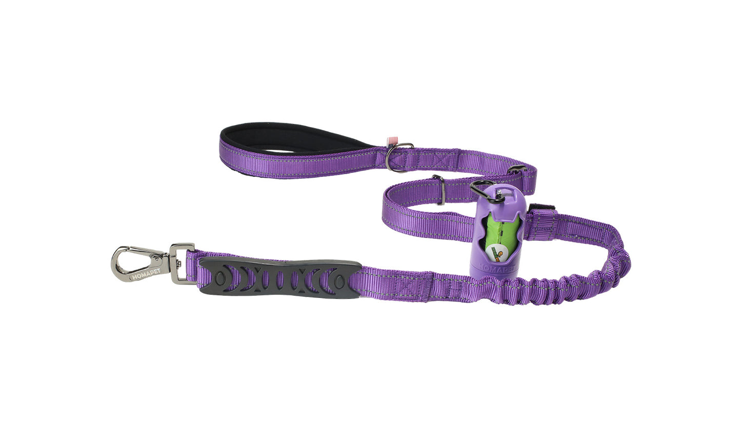 Violet Nylon Adjustable Bungee Dog Leash