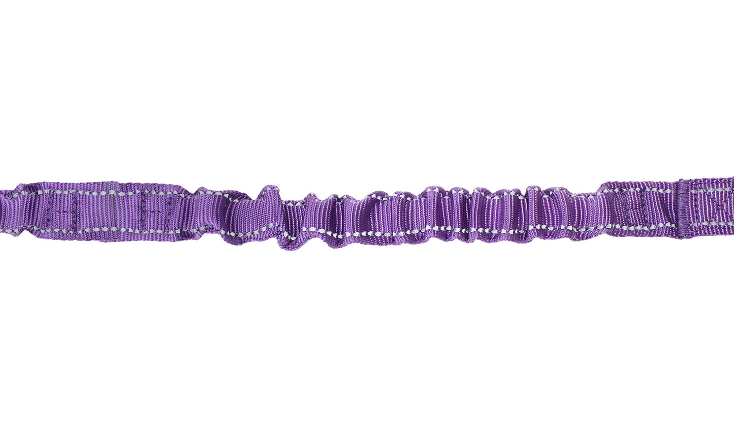 Violet Nylon Adjustable Bungee Dog Leash