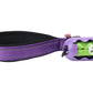 Violet Nylon Adjustable Bungee Dog Leash