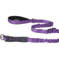 Violet Nylon Adjustable Bungee Dog Leash