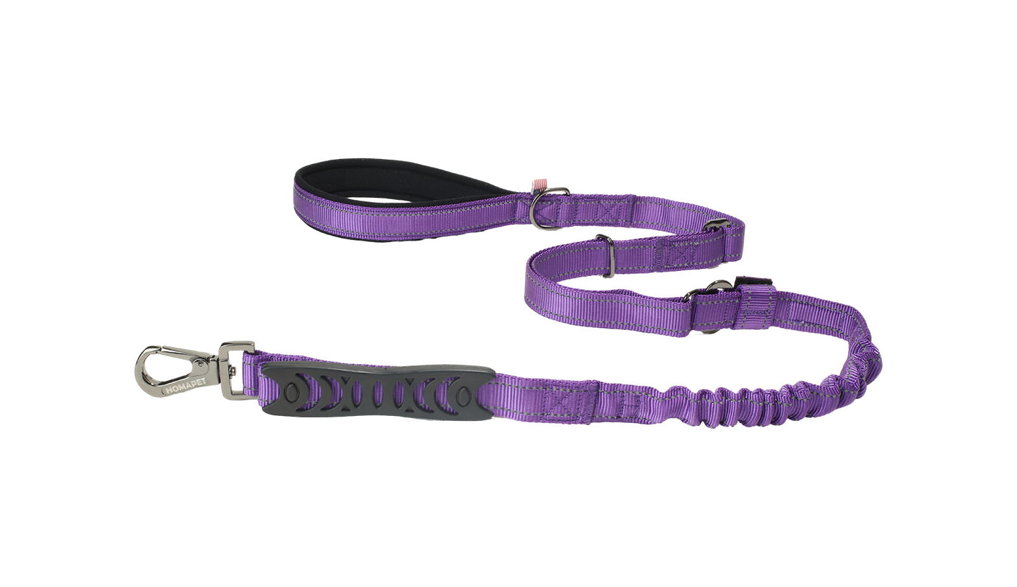 Violet Nylon Adjustable Bungee Dog Leash