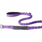 Violet Nylon Full Bungee Dog Leash