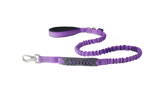 Violet Nylon Full Bungee Dog Leash