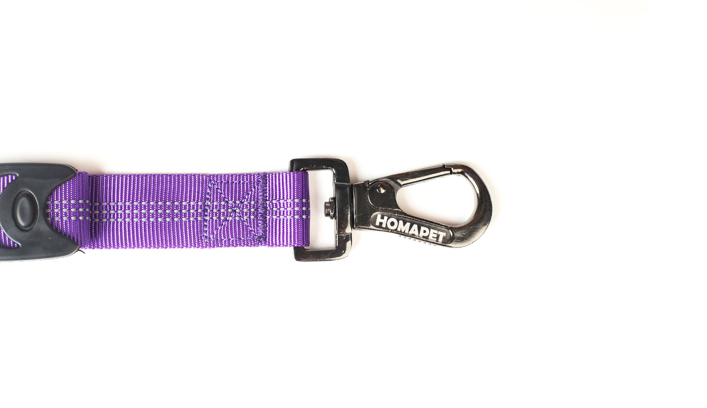 Violet Nylon Full Bungee Dog Leash