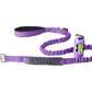 Violet Nylon Full Bungee Dog Leash