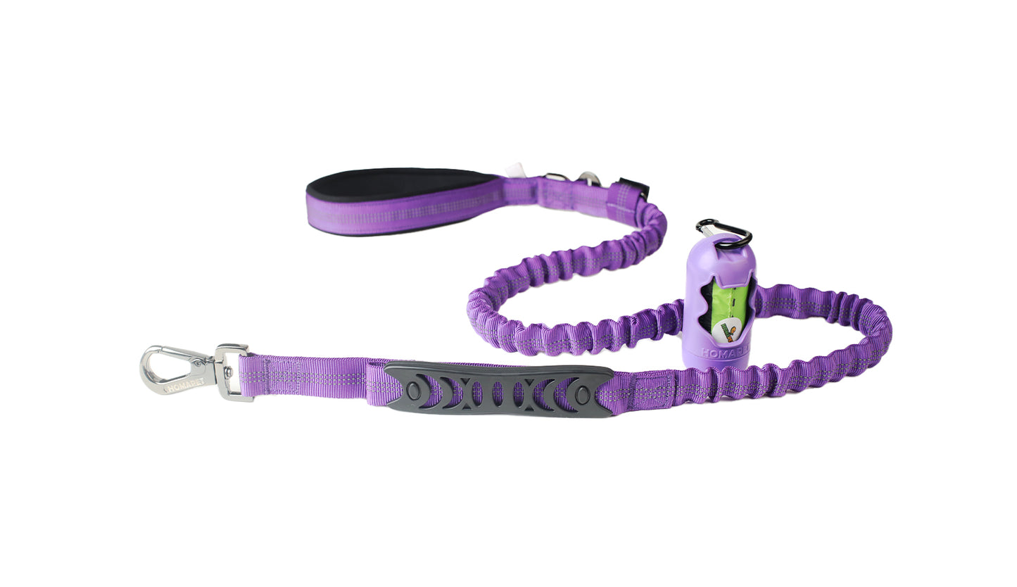 Violet Nylon Full Bungee Dog Leash