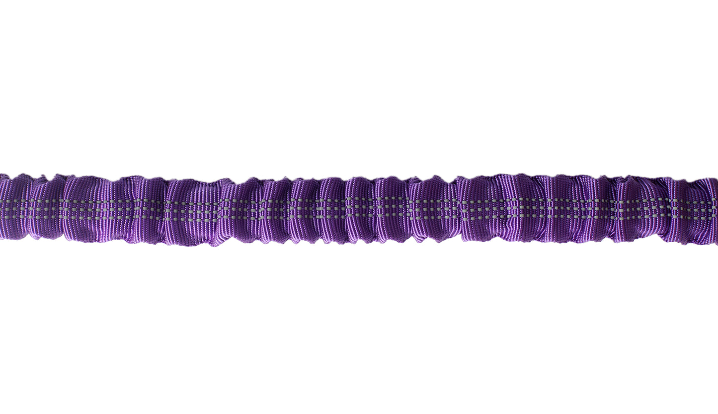 Violet Nylon Full Bungee Dog Leash