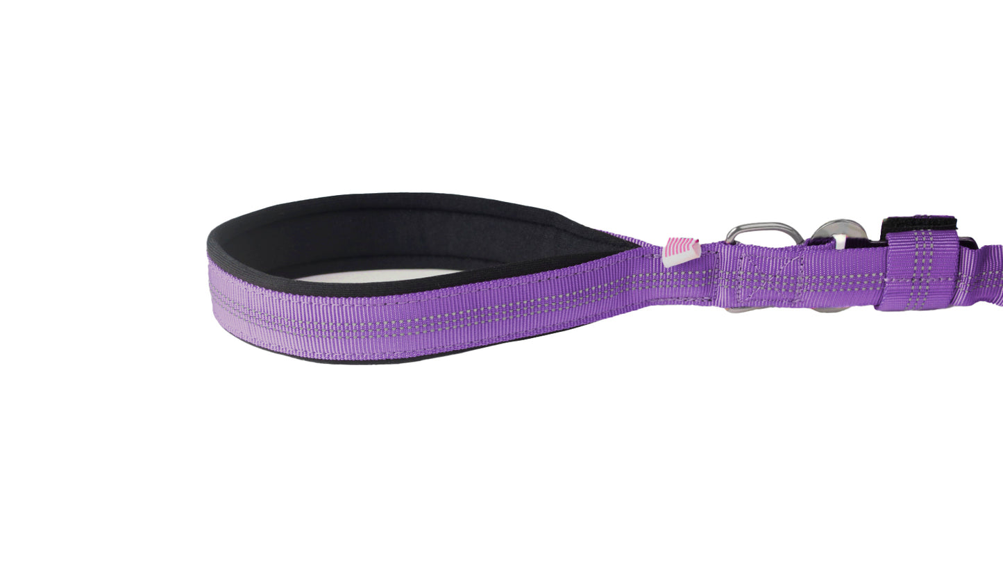 Violet Nylon Full Bungee Dog Leash