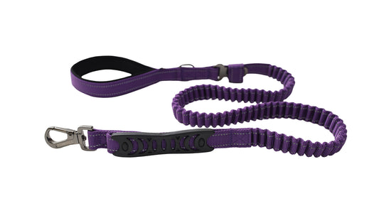 Violet Polyester Full Bungee Dog Leash