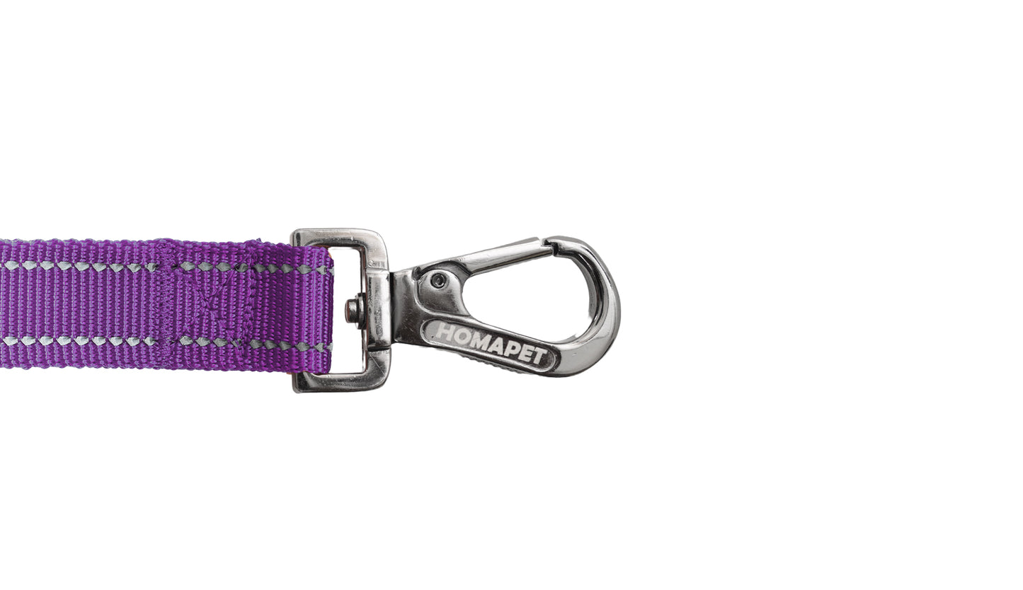 Violet Polyester Full Bungee Dog Leash