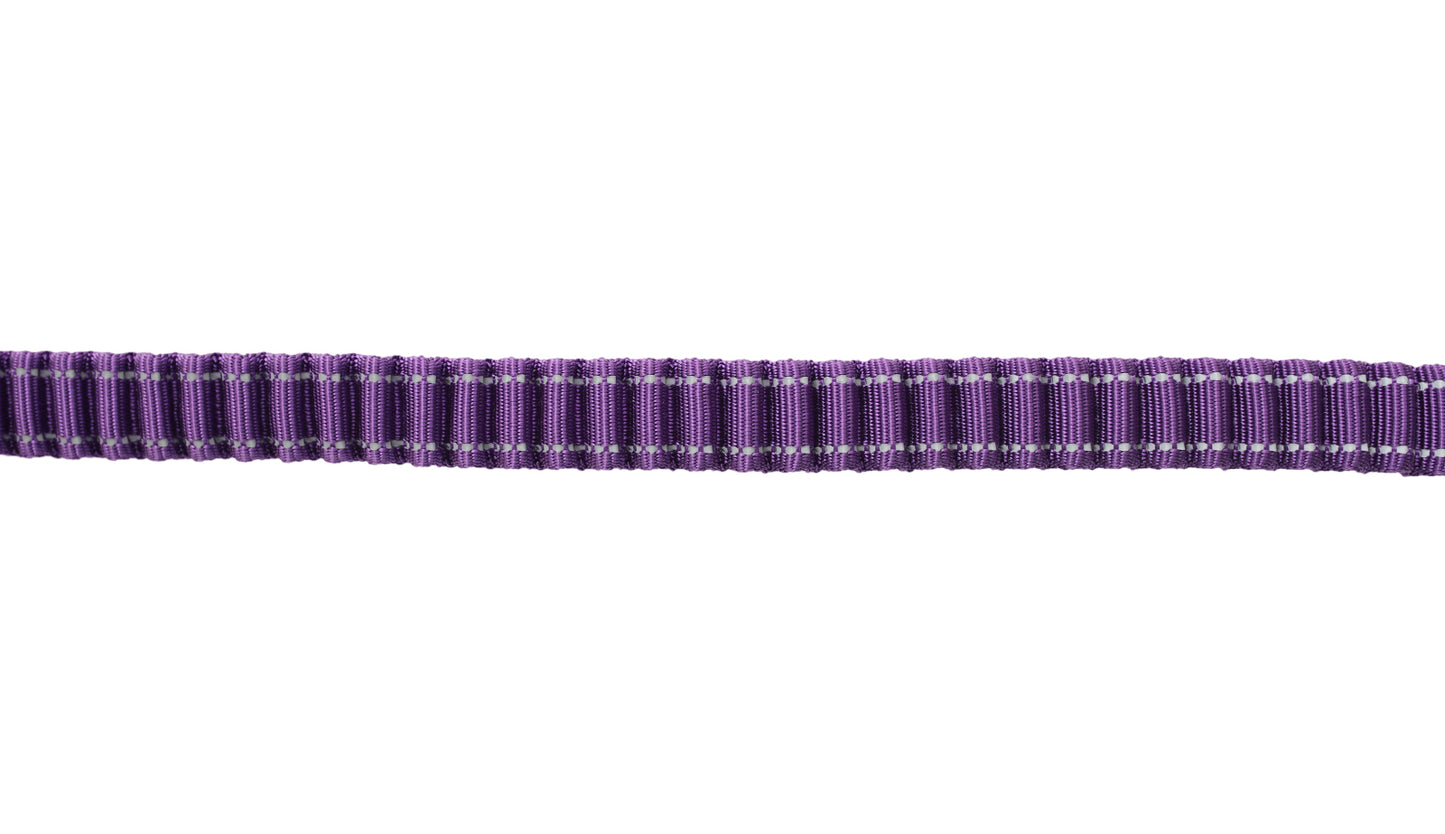 Violet Polyester Full Bungee Dog Leash