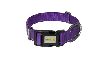 Violet Nylon Dog Collar