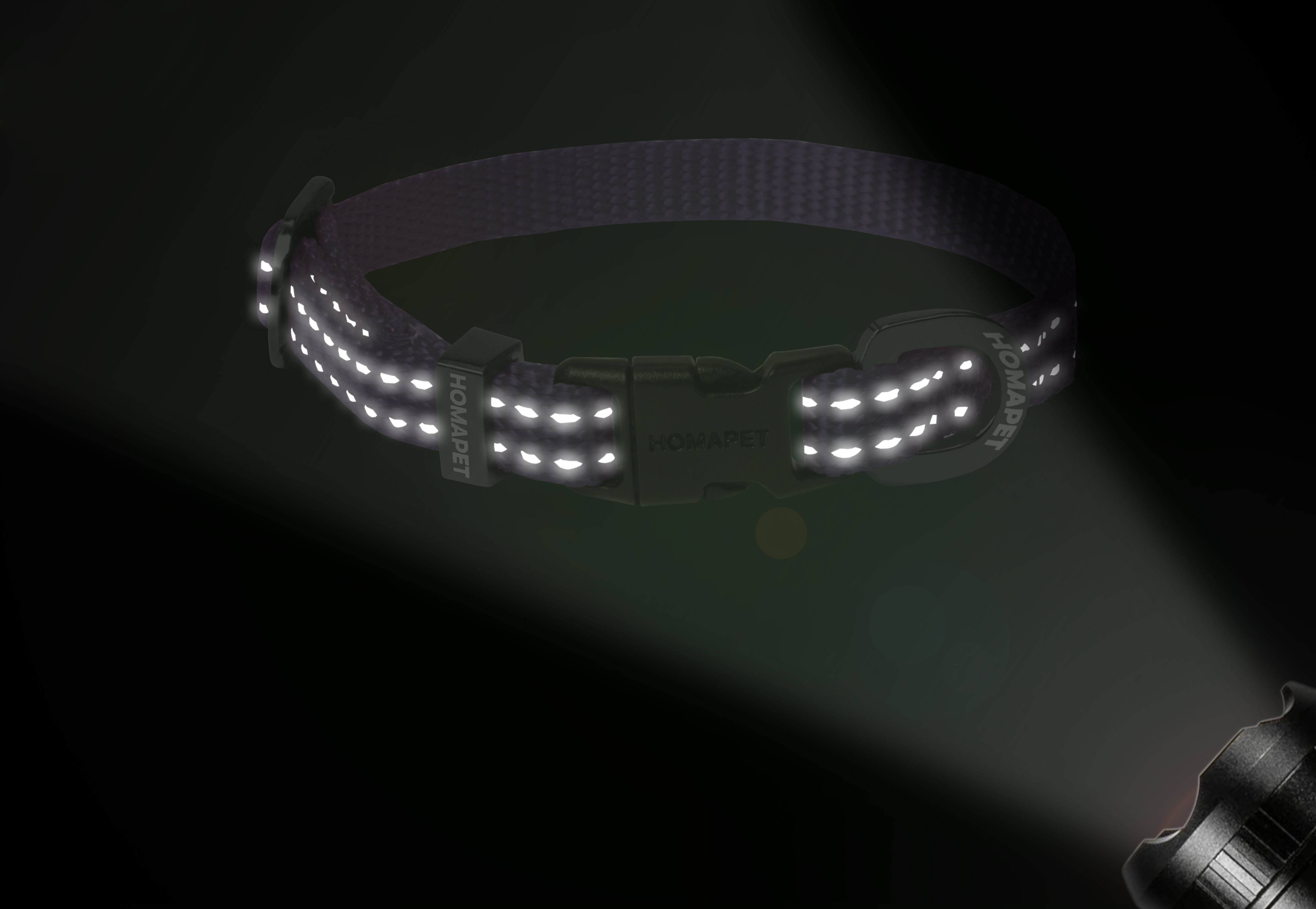 Violet Nylon Dog Collar XS