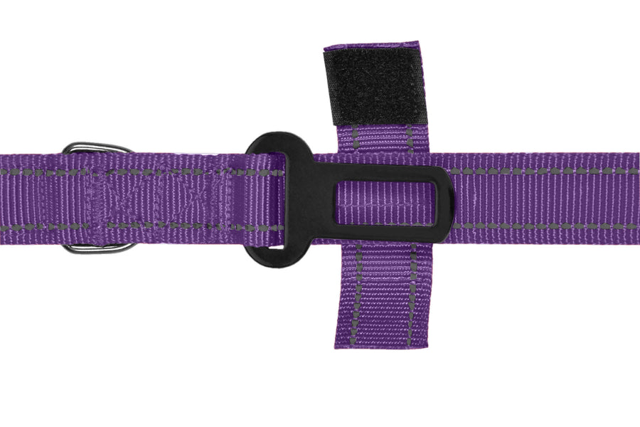 Violet Polyester Full Bungee Dog Leash