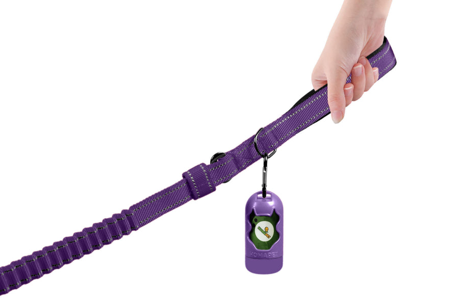 Violet Polyester Full Bungee Dog Leash