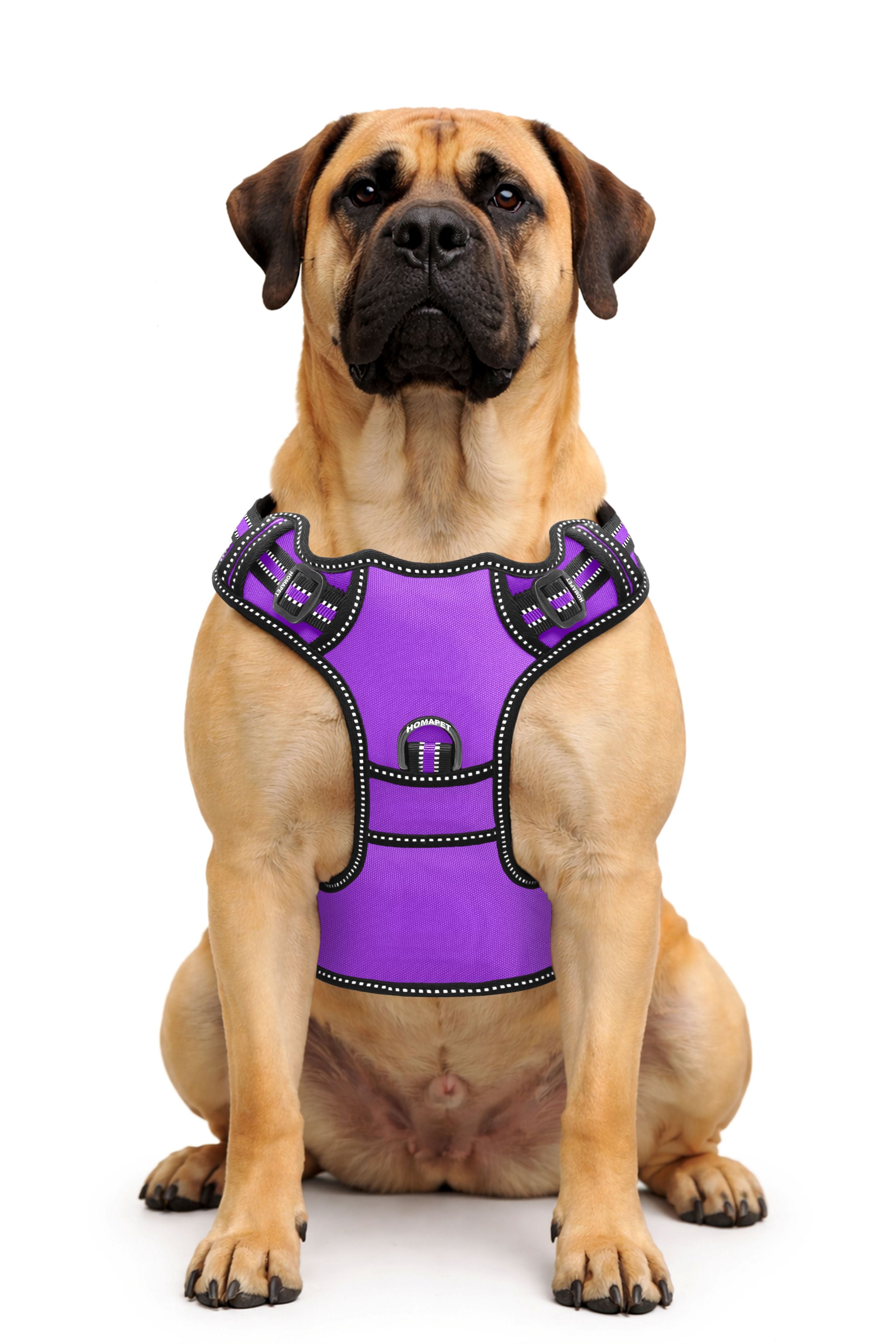 Violet No Pull Dog Harness