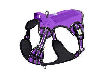 Violet Tactical Dog Harness