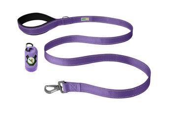 Violet Nylon Dog Leash