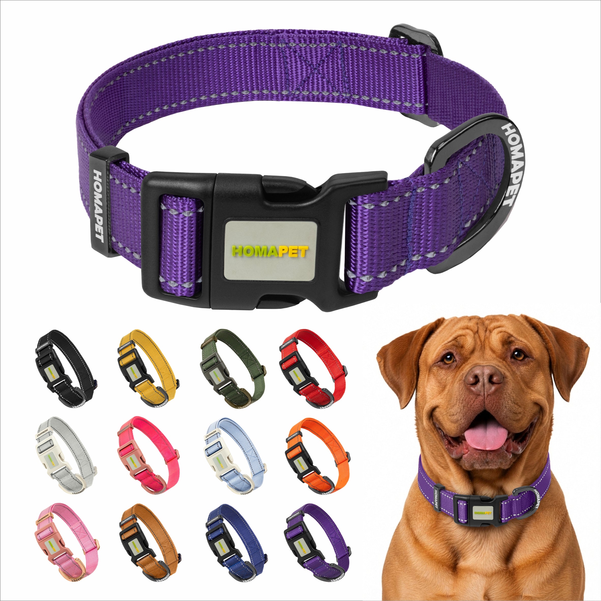 Violet Nylon Dog Collar