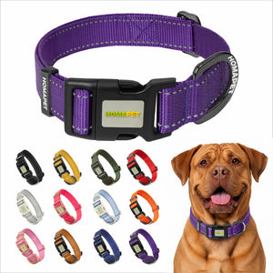Violet Nylon Dog Collar