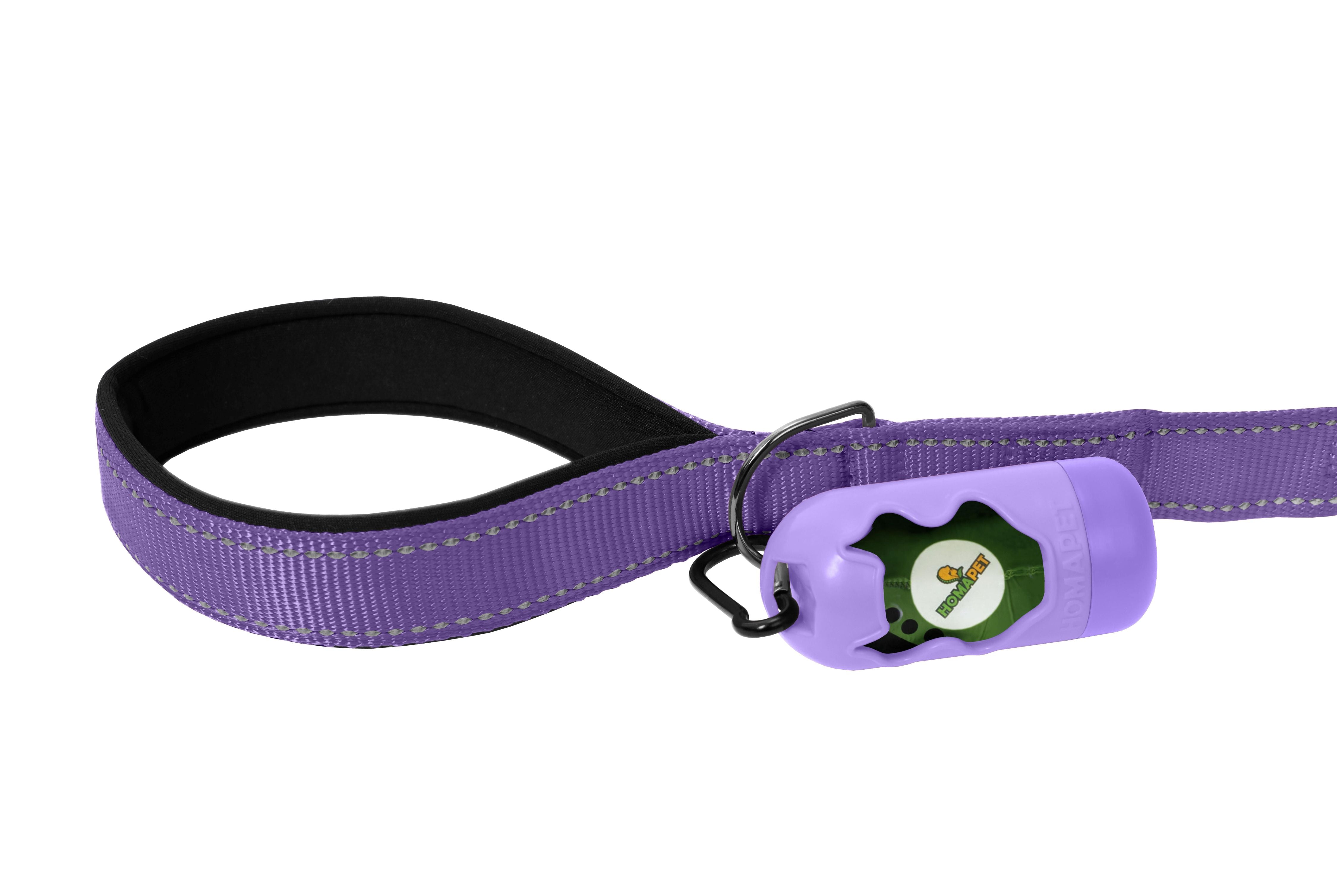 Violet Nylon Dog Leash