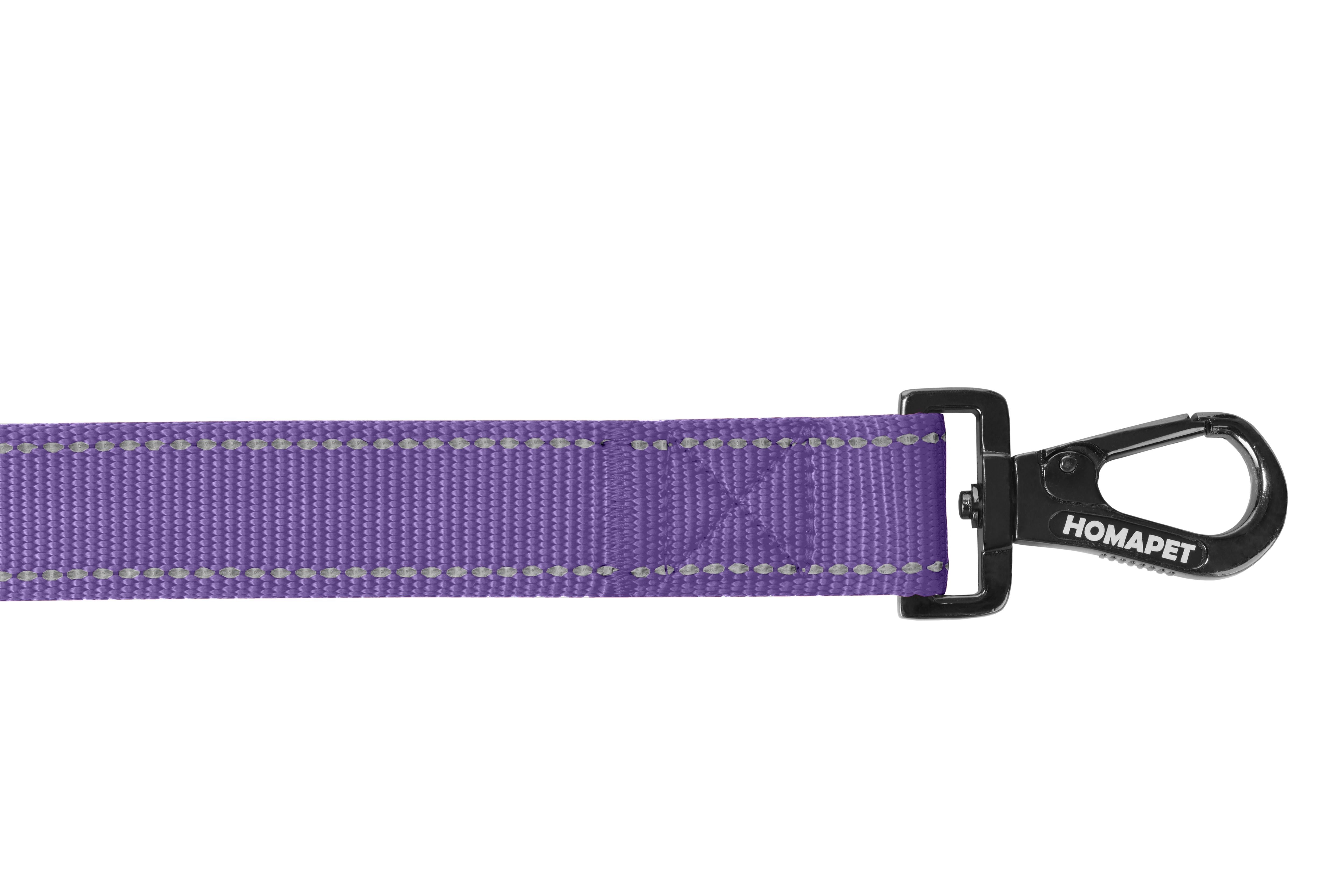 Violet Nylon Dog Leash