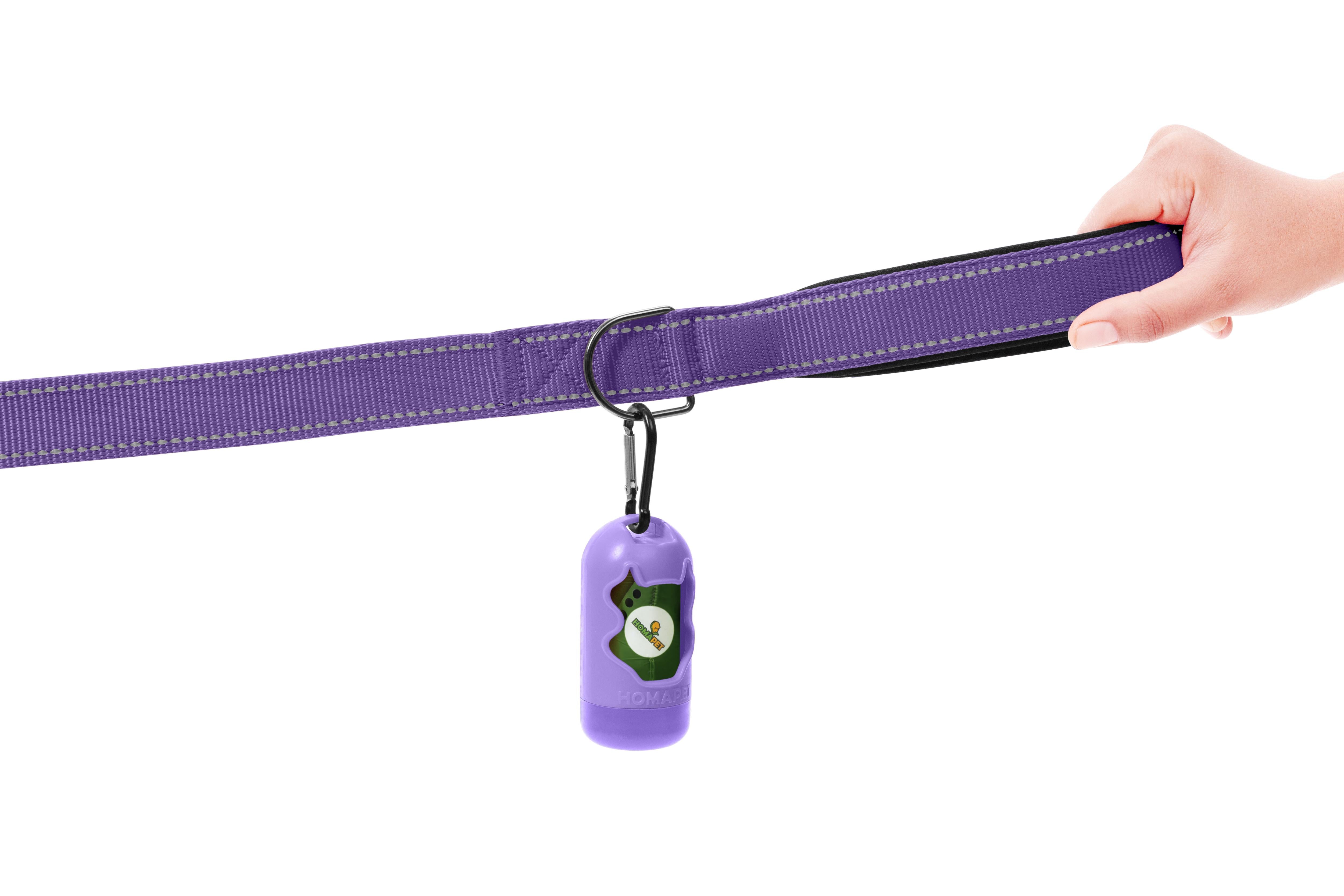 Violet Nylon Dog Leash