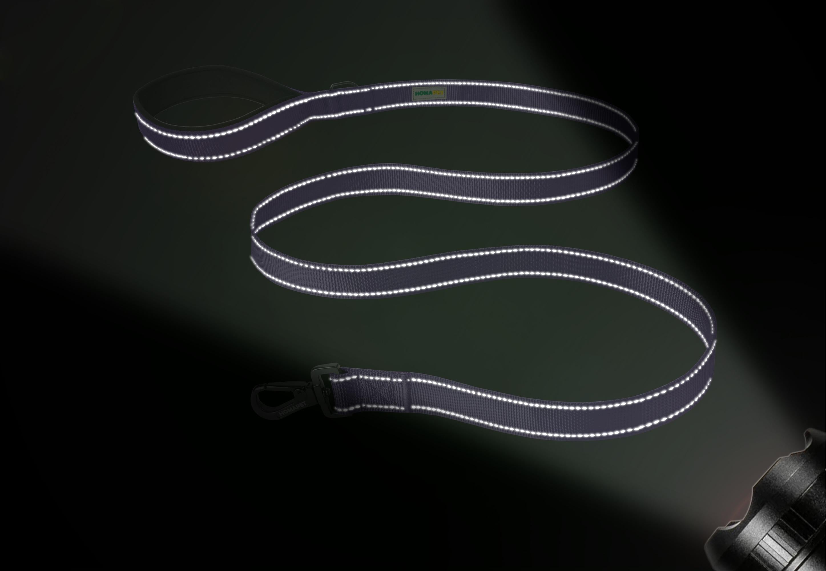 Violet Nylon Dog Leash
