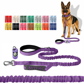 Violet Nylon Full Bungee Dog Leash