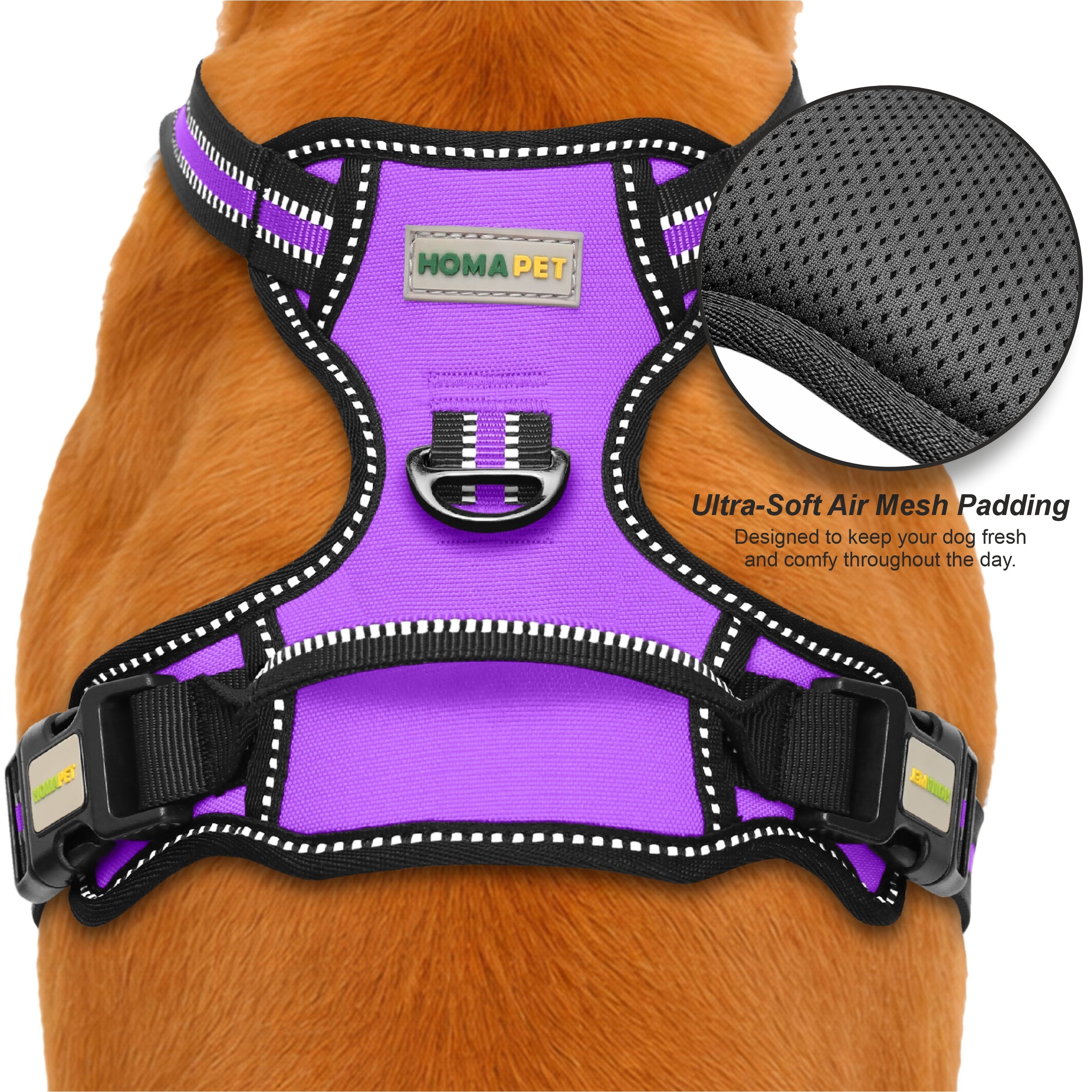 Violet No Pull Dog Harness