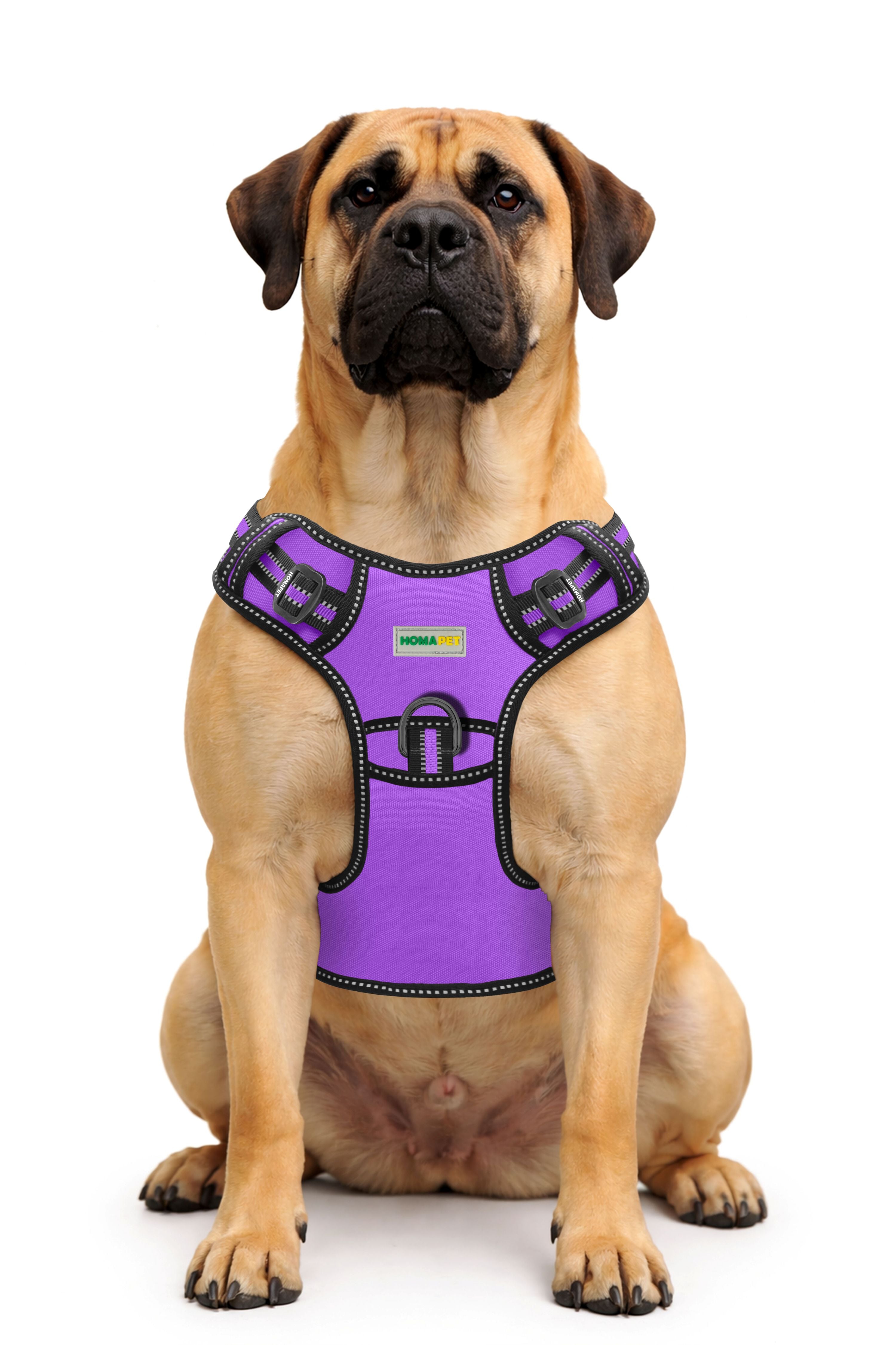 Violet Tactical Dog Harness