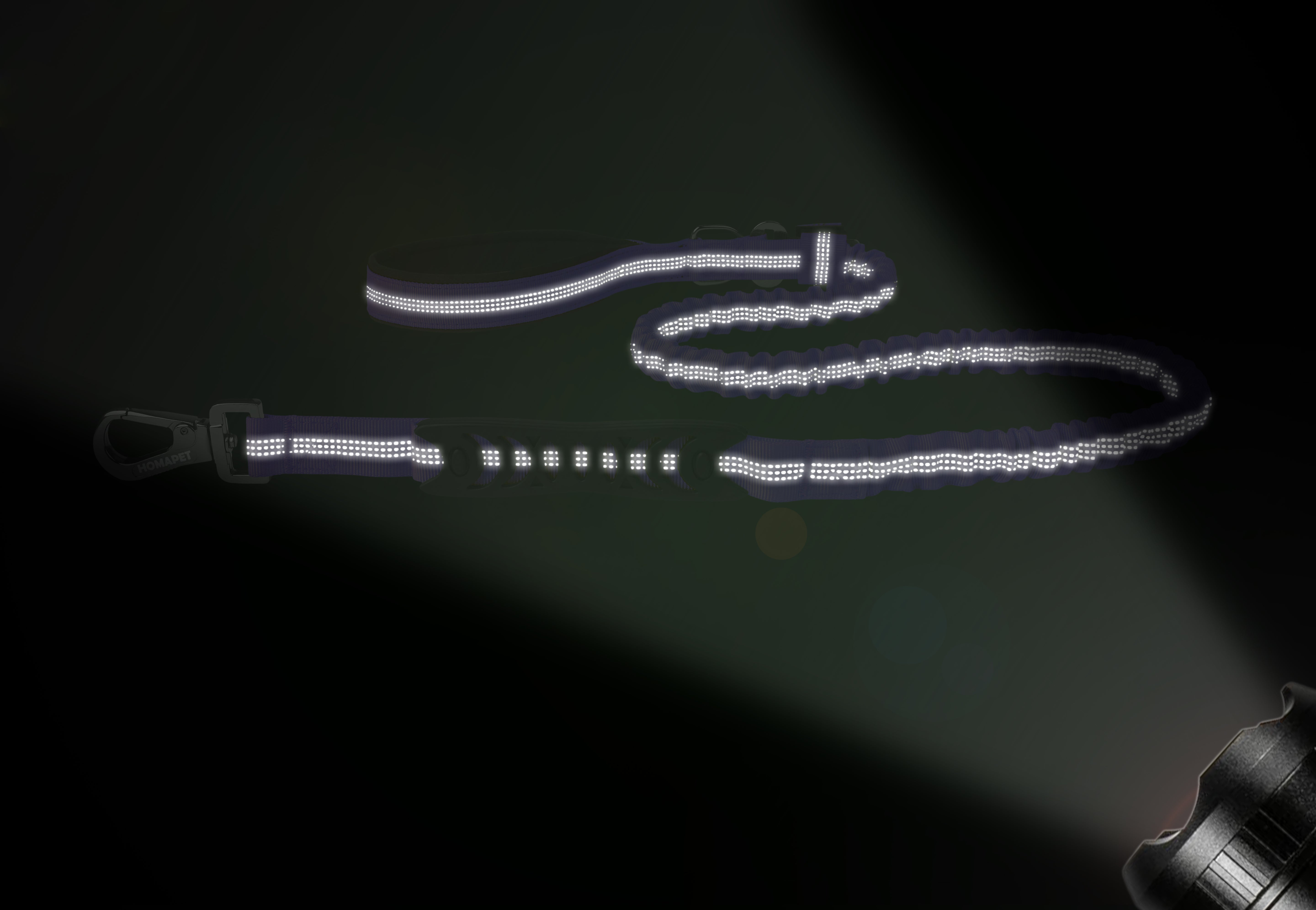 Violet Nylon Full Bungee Dog Leash