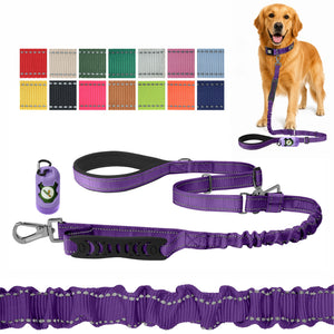 Violet Nylon Adjustable Bungee Dog Leash