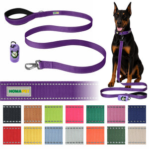 Violet Nylon Dog Leash