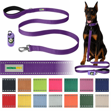 Violet Nylon Dog Leash