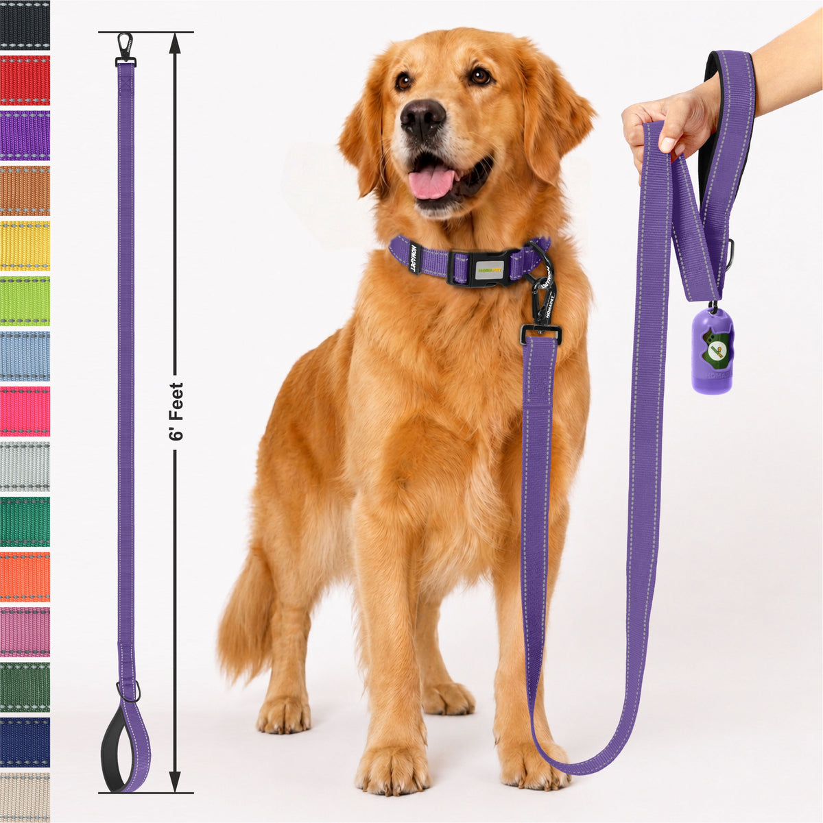 Violet Nylon Dog Leash