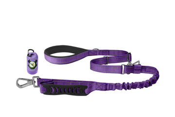 Violet Nylon Adjustable Bungee Dog Leash