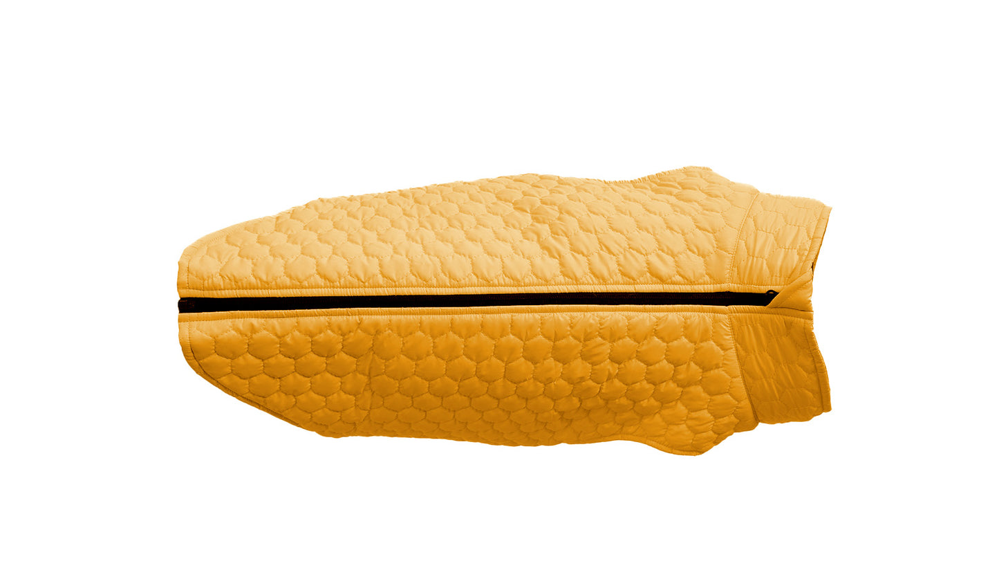 Yellow Dog Quilted Jacket - Flat