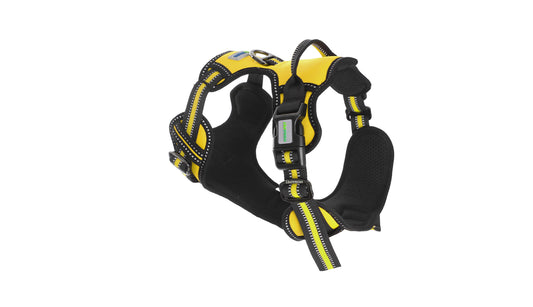 Yellow No Pull Dog Harness