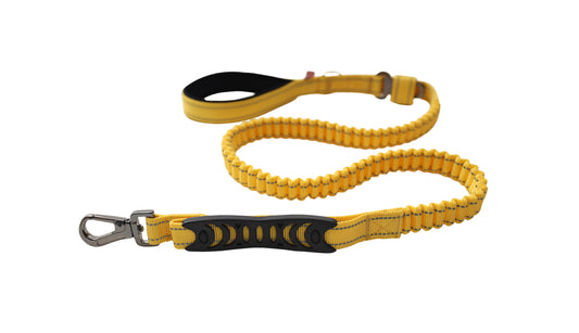 Yellow Polyester Full Bungee Dog Leash