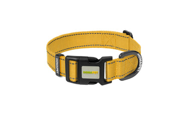 Yellow Nylon Dog Collar