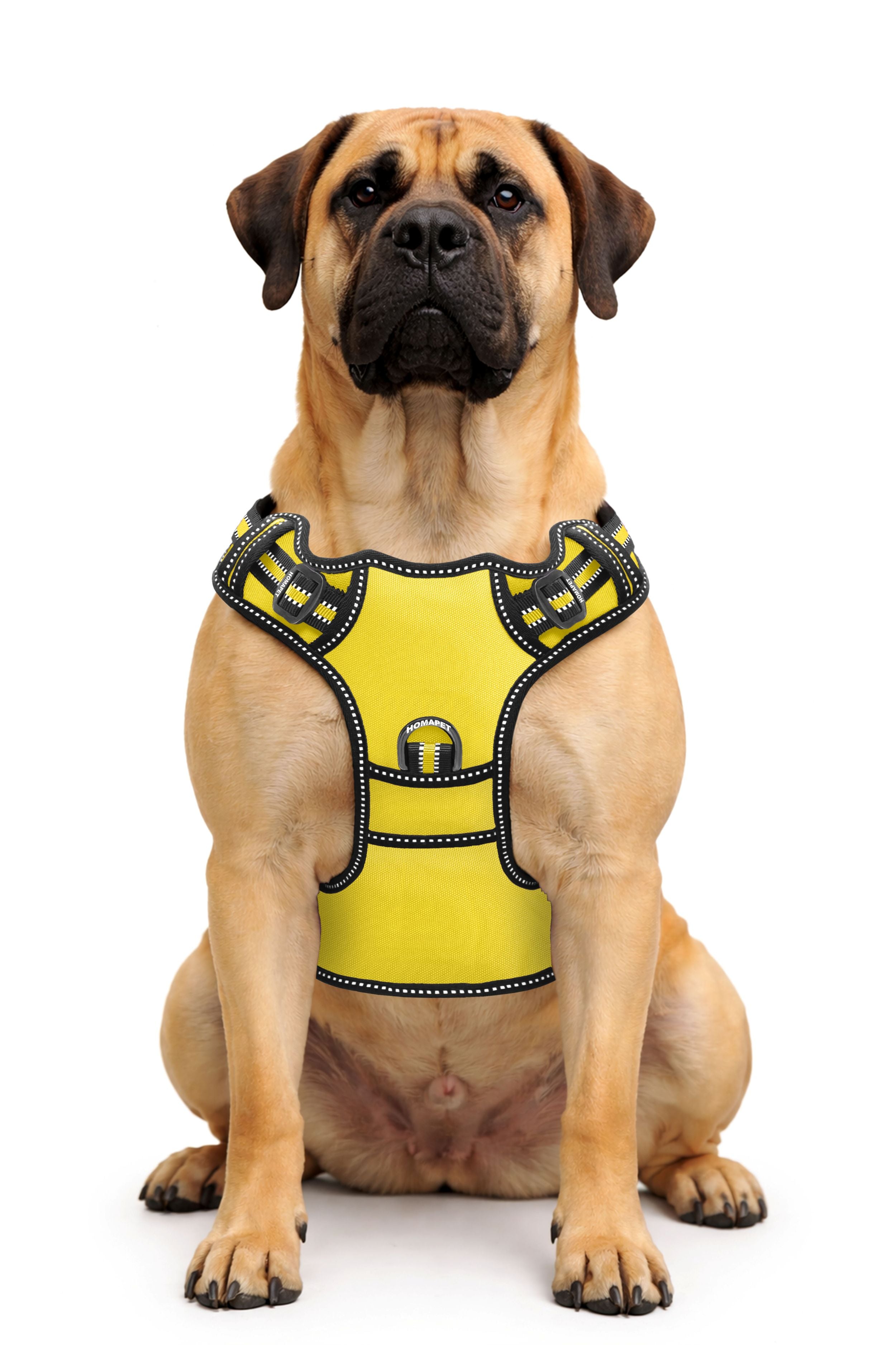 Yellow No Pull Dog Harness