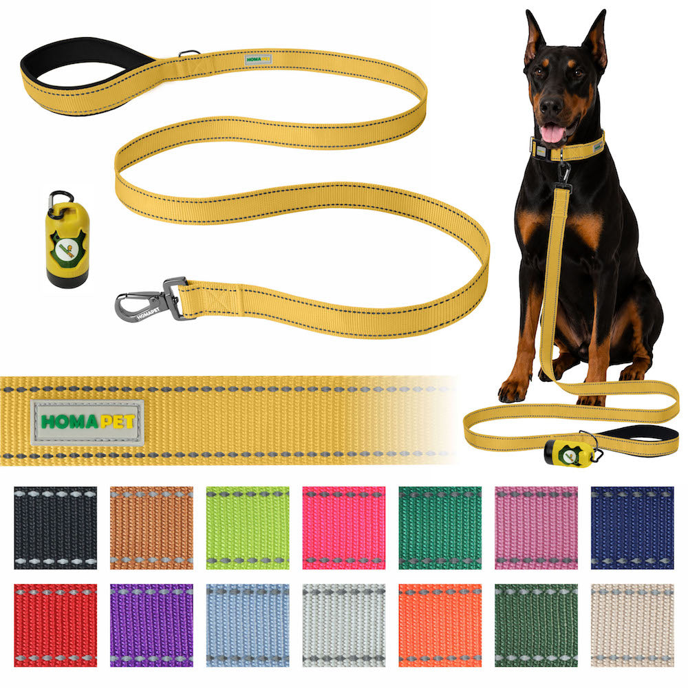 Yellow Nylon Dog Leash
