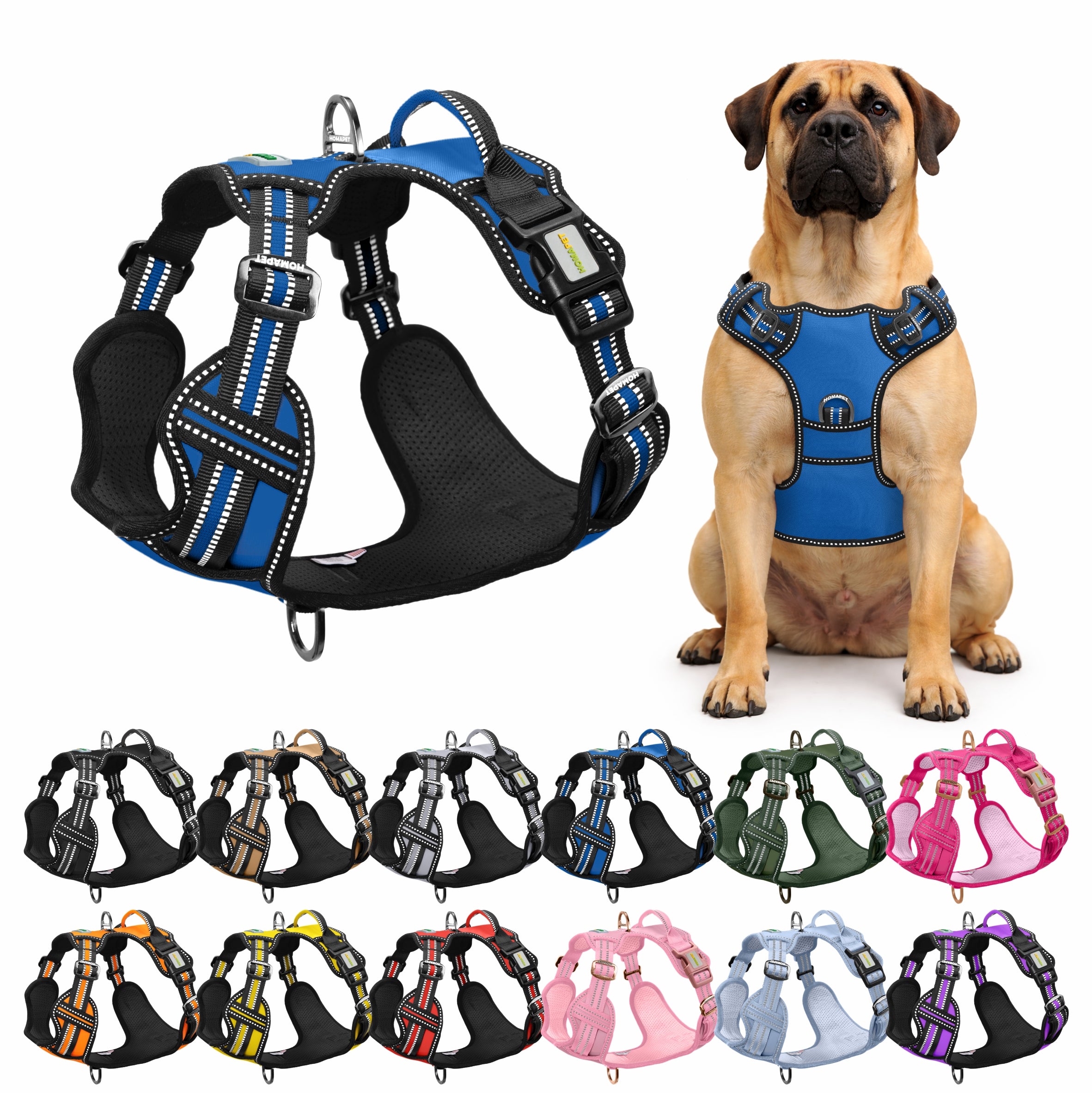 Royal Blue No Pull Dog Harness